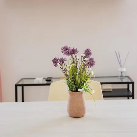 Furio Camillo, Centro Apartamento